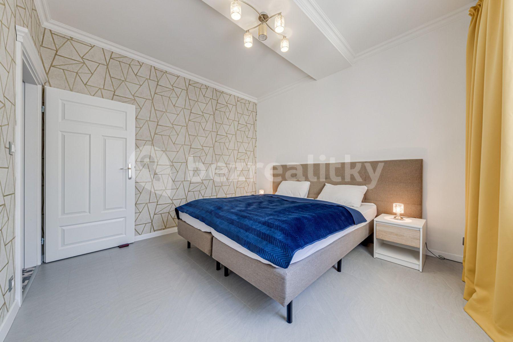 1 bedroom with open-plan kitchen flat to rent, 60 m², Mečislavova, Prague, Prague