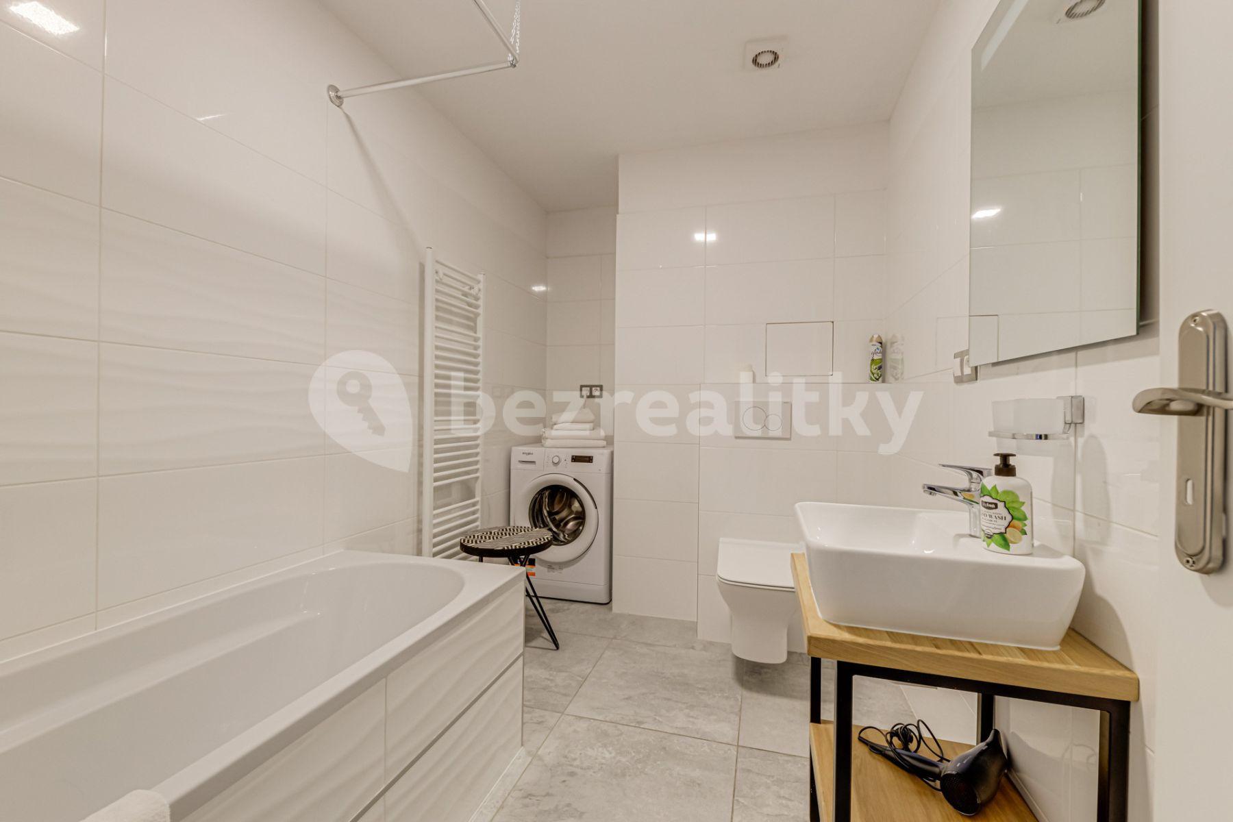 1 bedroom with open-plan kitchen flat to rent, 60 m², Mečislavova, Prague, Prague