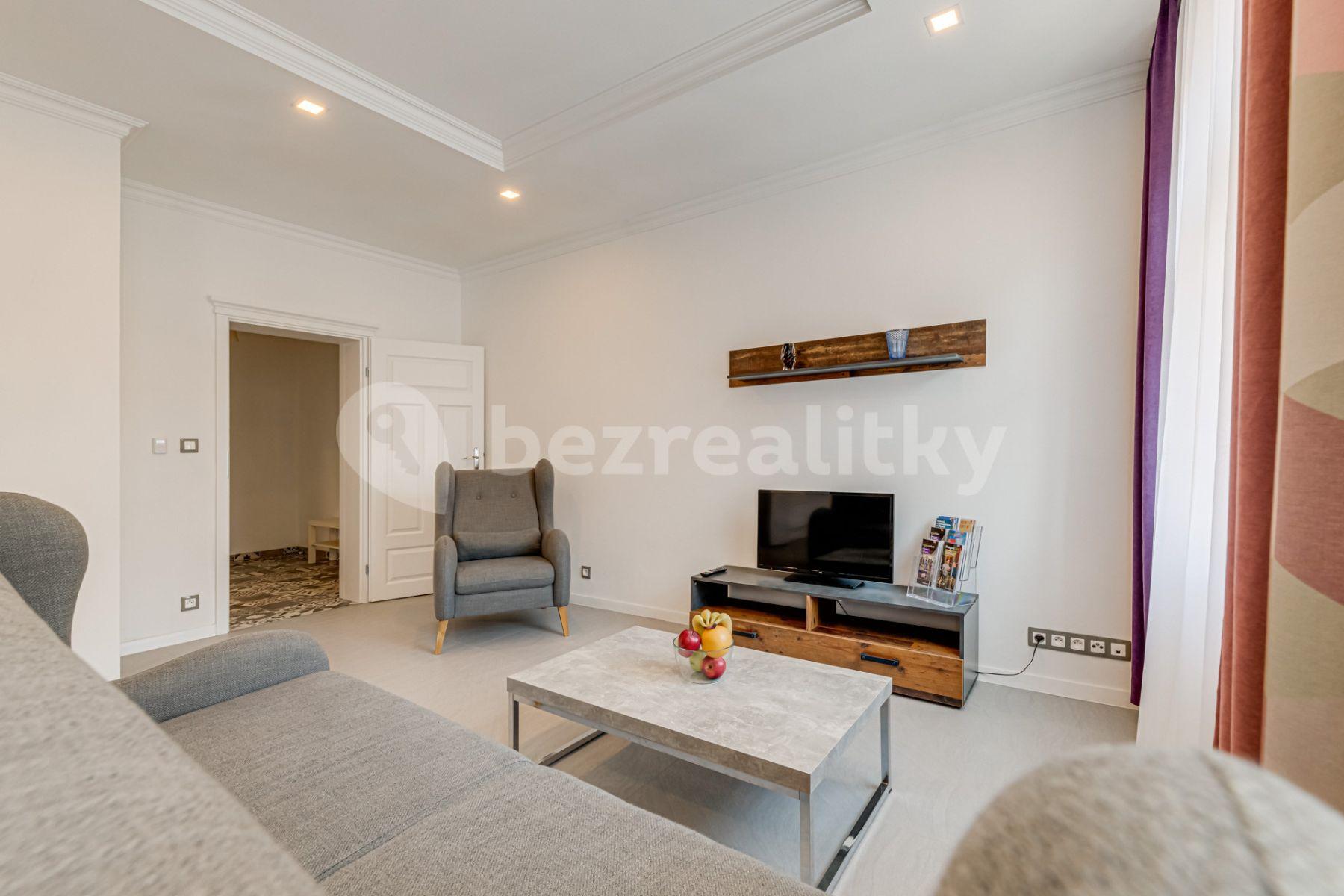 1 bedroom with open-plan kitchen flat to rent, 60 m², Mečislavova, Prague, Prague