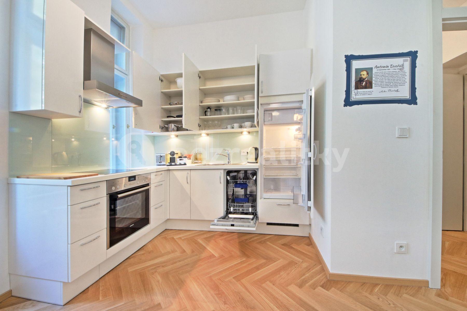 1 bedroom with open-plan kitchen flat to rent, 48 m², Balbínova, Prague, Prague