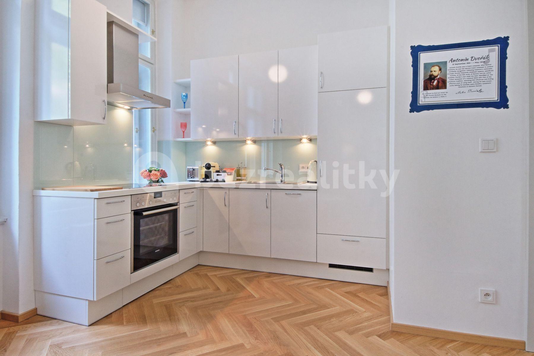 1 bedroom with open-plan kitchen flat to rent, 48 m², Balbínova, Prague, Prague