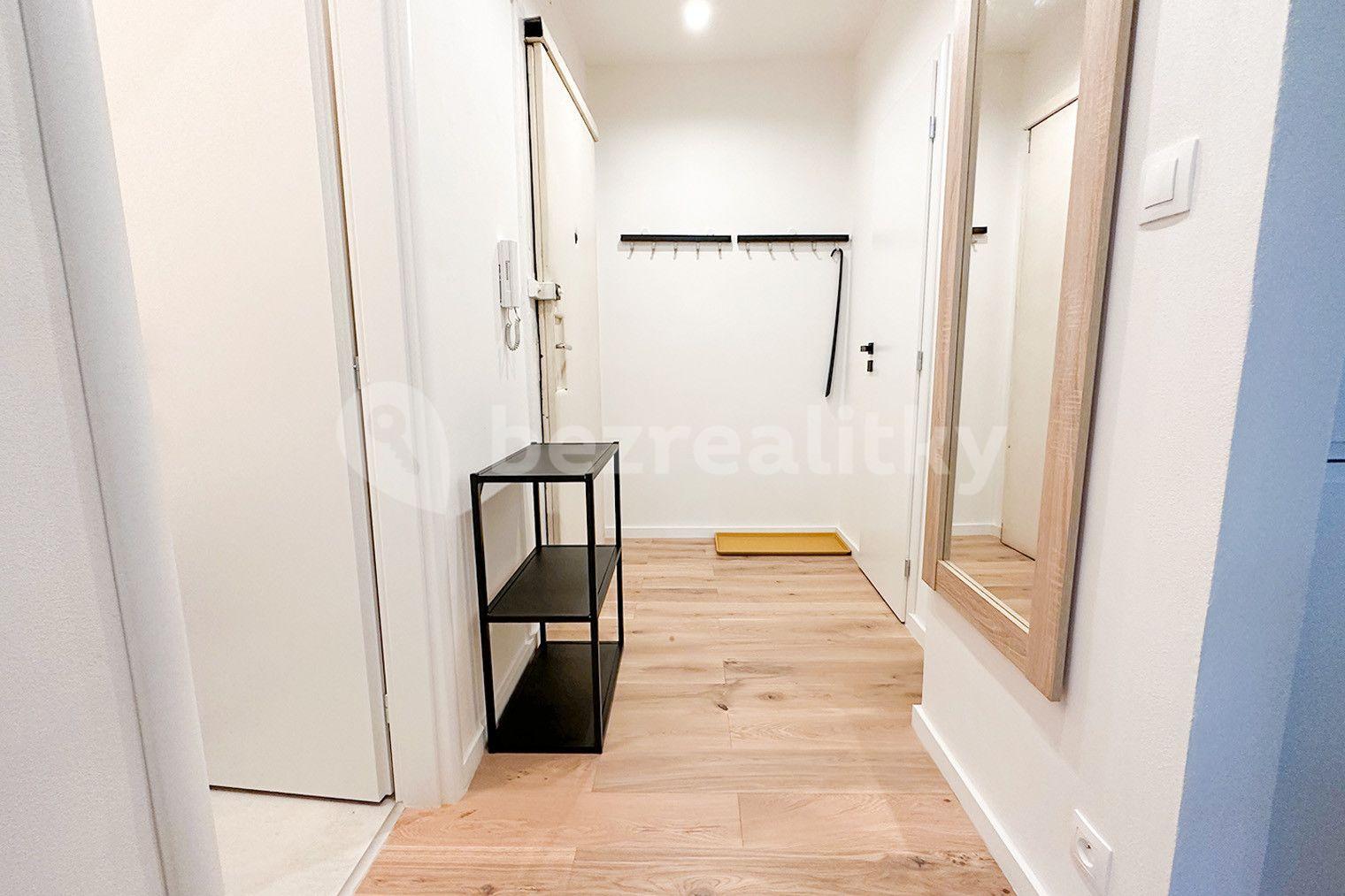 1 bedroom with open-plan kitchen flat to rent, 47 m², Písecká, Prague, Prague