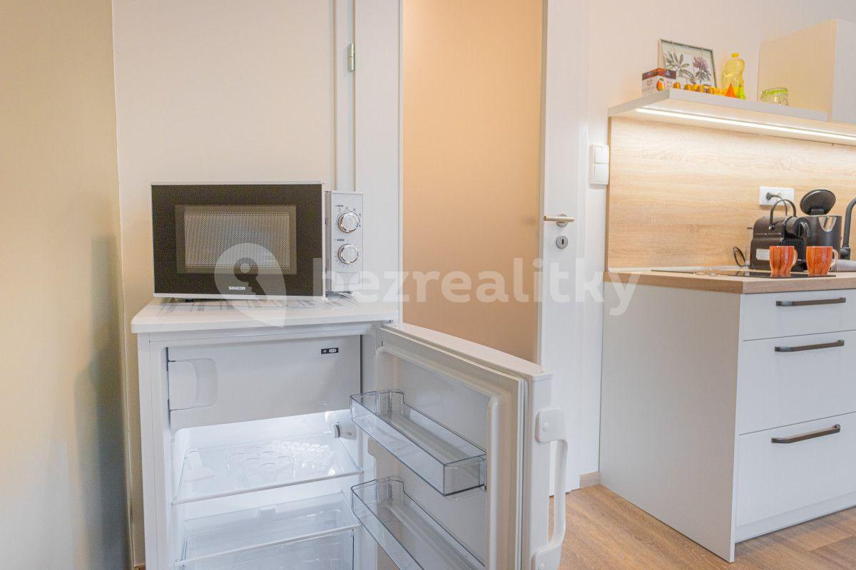 Studio flat to rent, 35 m², Hlaváčkova, Prague, Prague