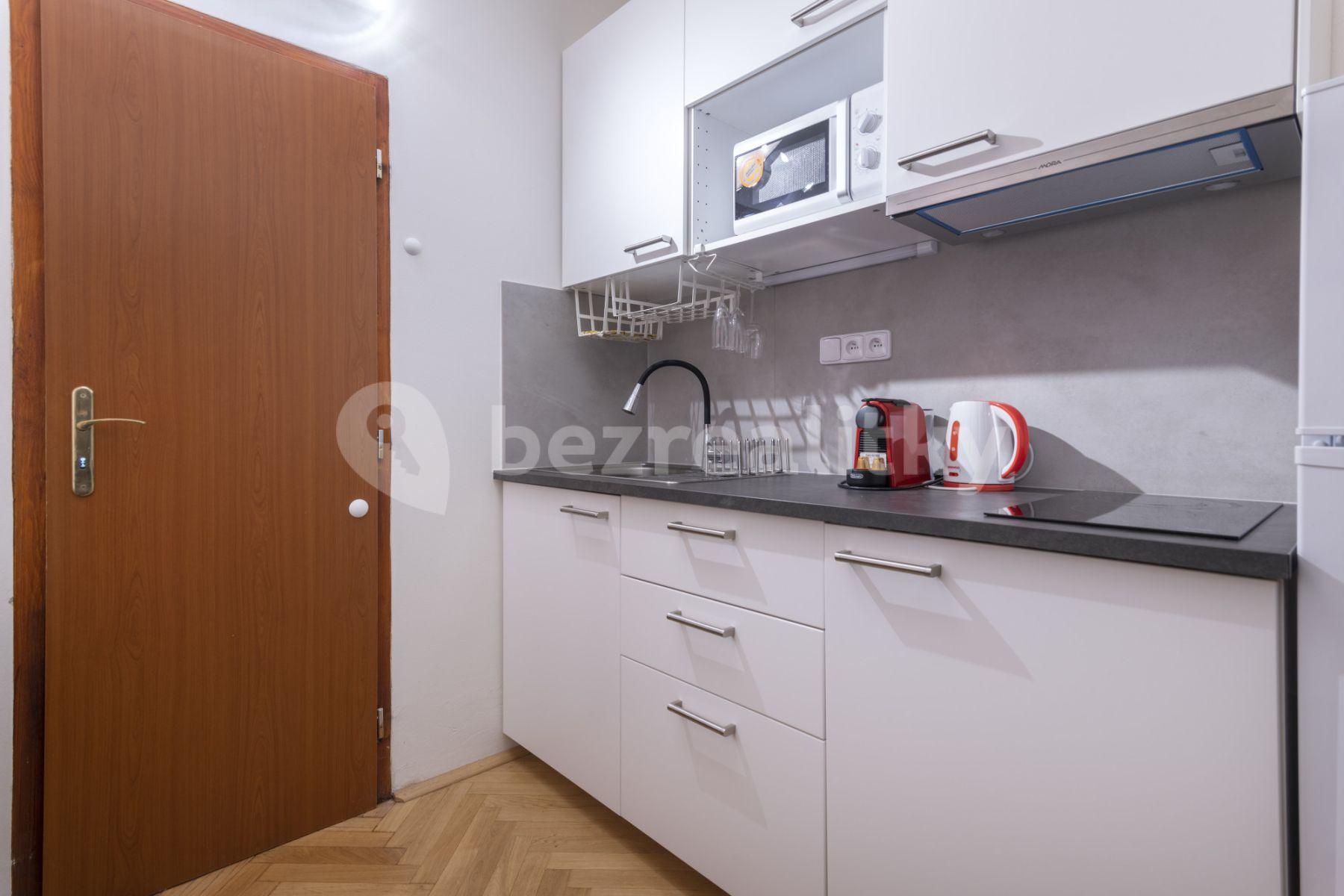 1 bedroom with open-plan kitchen flat to rent, 40 m², Šporkova, Prague, Prague