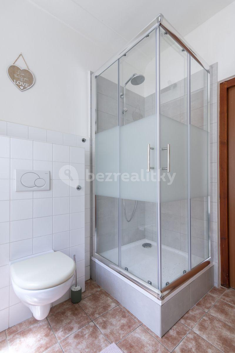 1 bedroom with open-plan kitchen flat to rent, 40 m², Šporkova, Prague, Prague