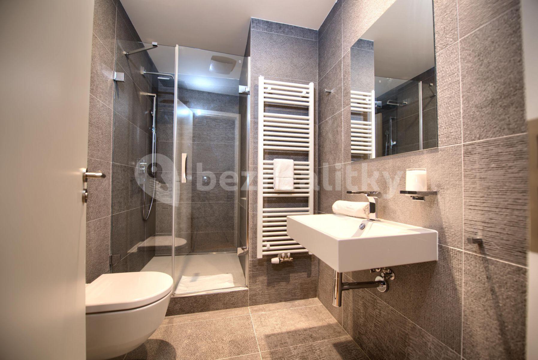 2 bedroom with open-plan kitchen flat to rent, 90 m², Soukenická, Prague, Prague