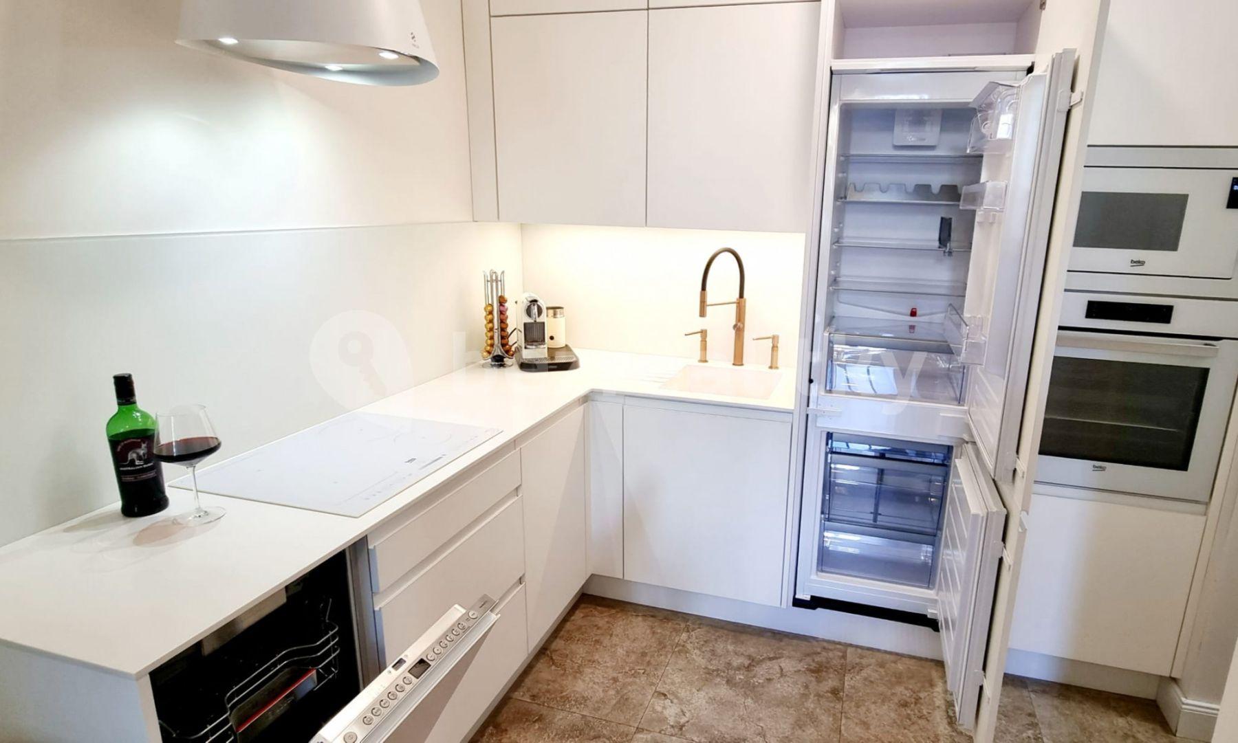 1 bedroom with open-plan kitchen flat to rent, 70 m², U Rajské zahrady, Prague, Prague