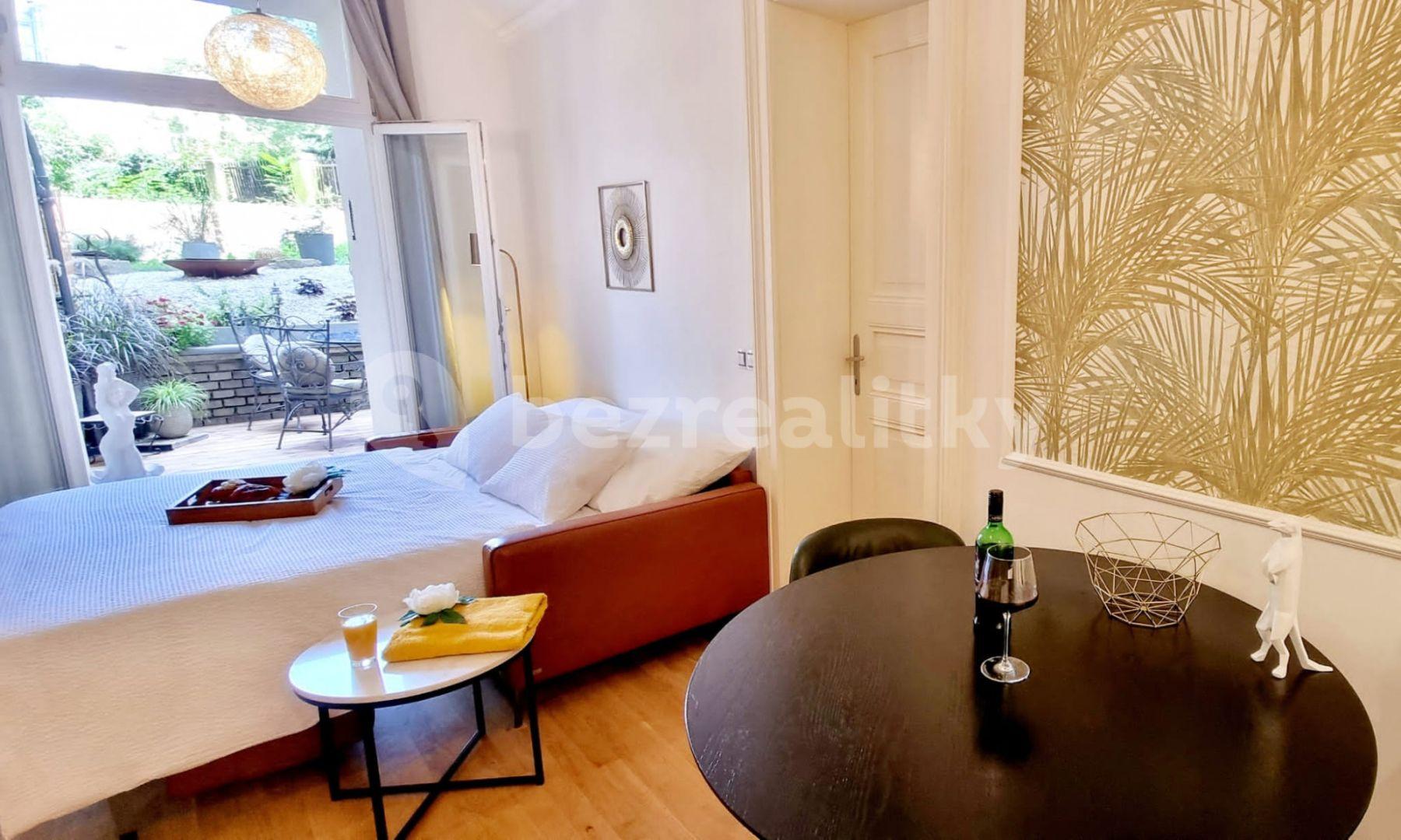 1 bedroom with open-plan kitchen flat to rent, 70 m², U Rajské zahrady, Prague, Prague