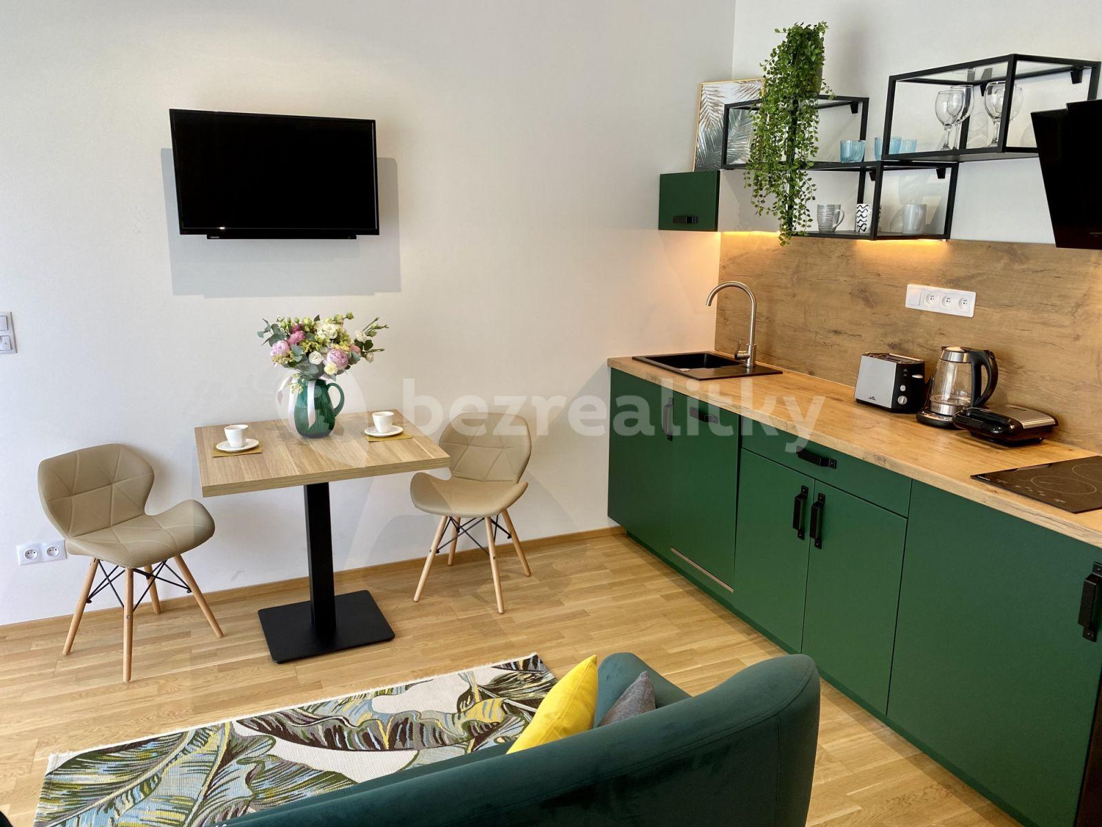 Studio flat to rent, 32 m², U Průhonu b, Prague, Prague