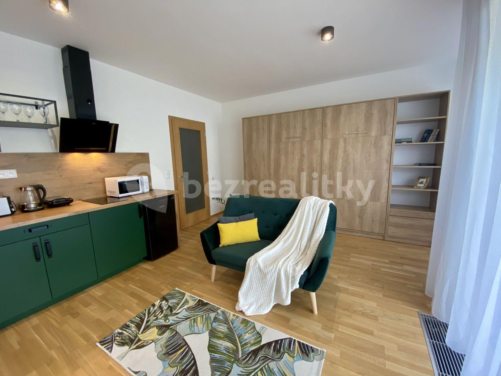 Studio flat to rent, 32 m², U Průhonu b, Prague, Prague