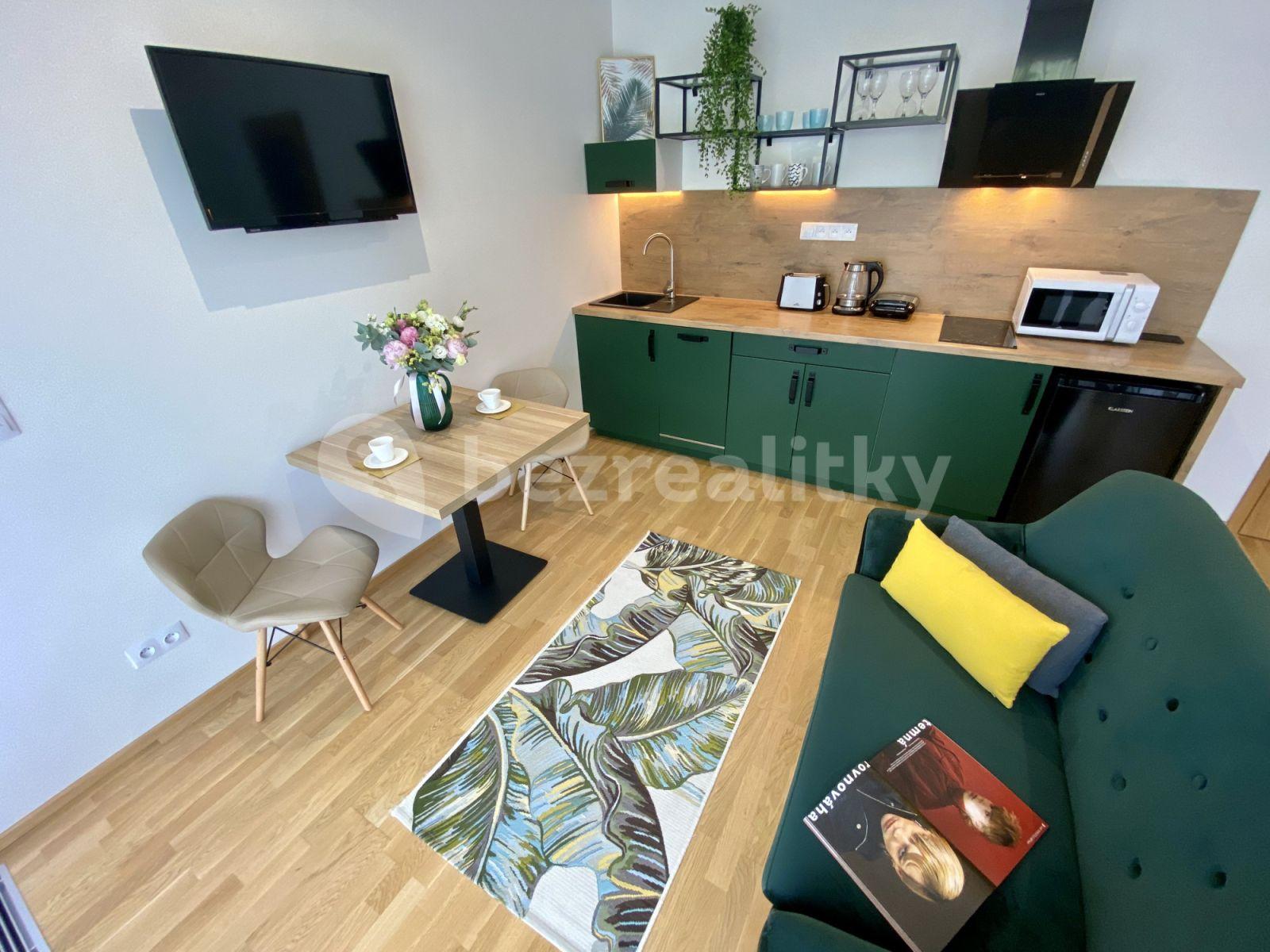 Studio flat to rent, 32 m², U Průhonu b, Prague, Prague