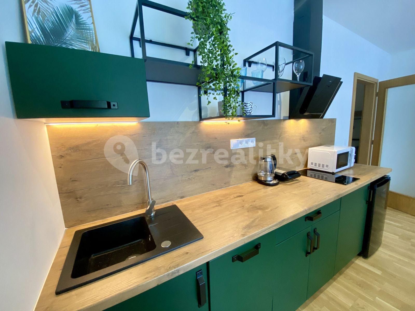 Studio flat to rent, 32 m², U Průhonu b, Prague, Prague