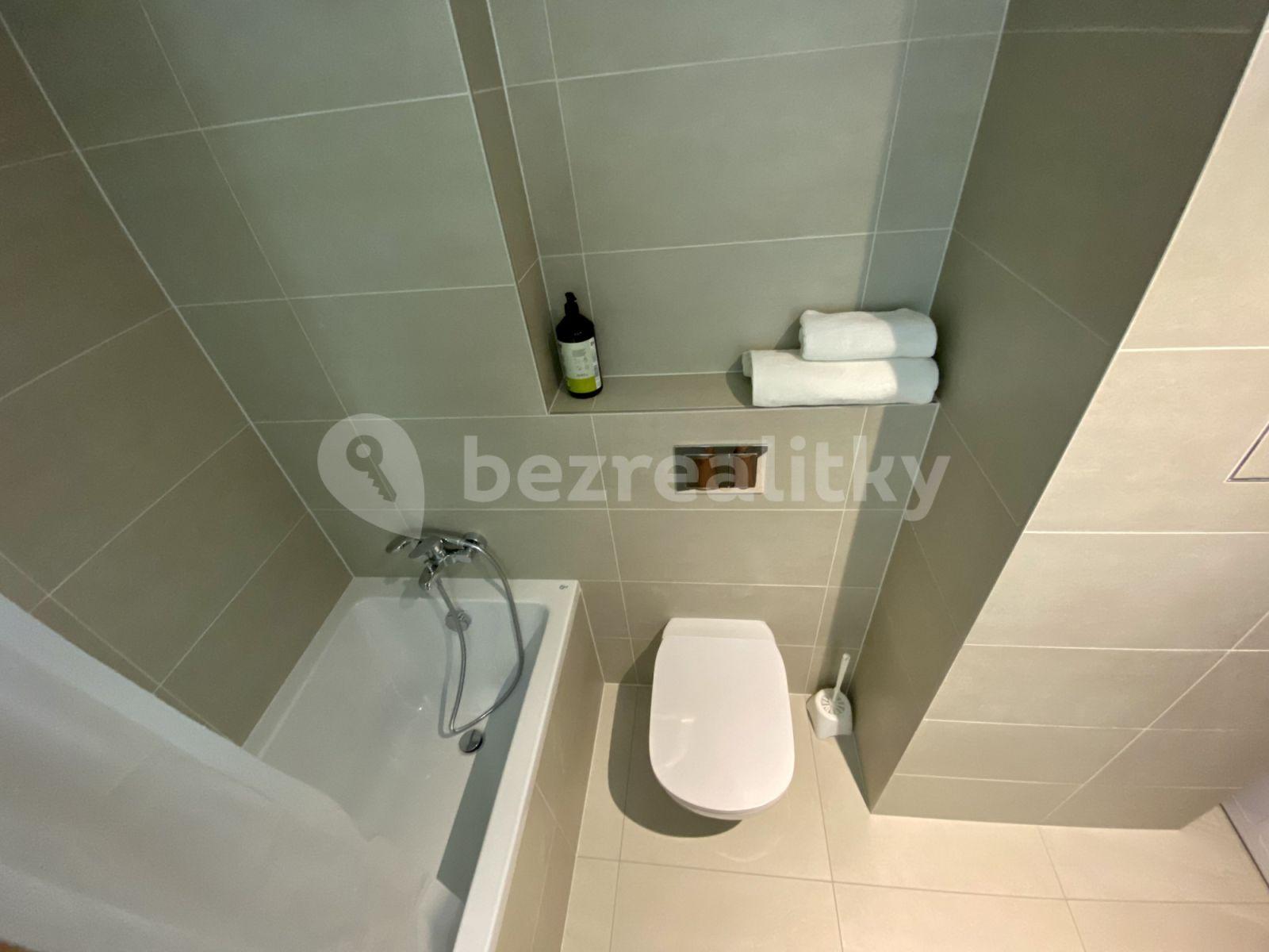 Studio flat to rent, 32 m², U Průhonu b, Prague, Prague