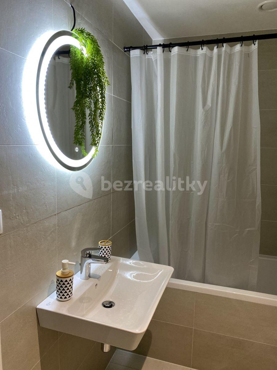 Studio flat to rent, 32 m², U Průhonu b, Prague, Prague