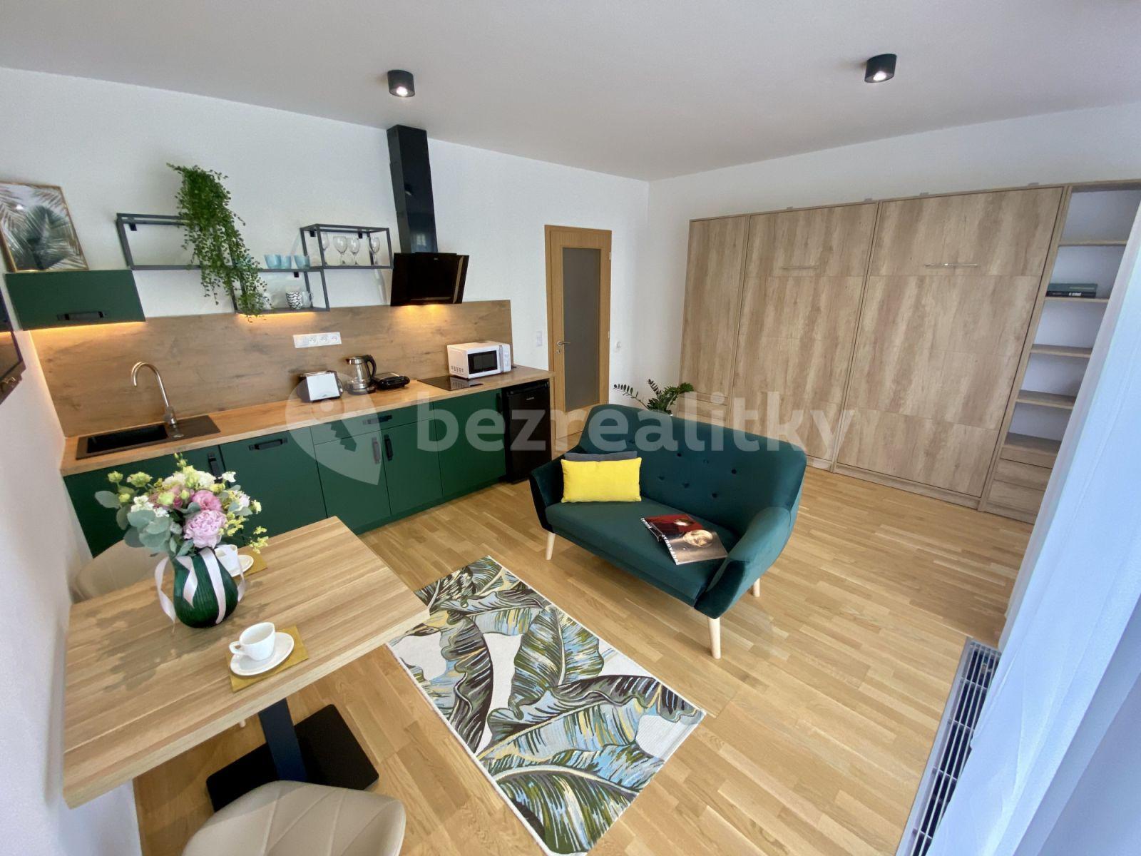 Studio flat to rent, 32 m², U Průhonu b, Prague, Prague