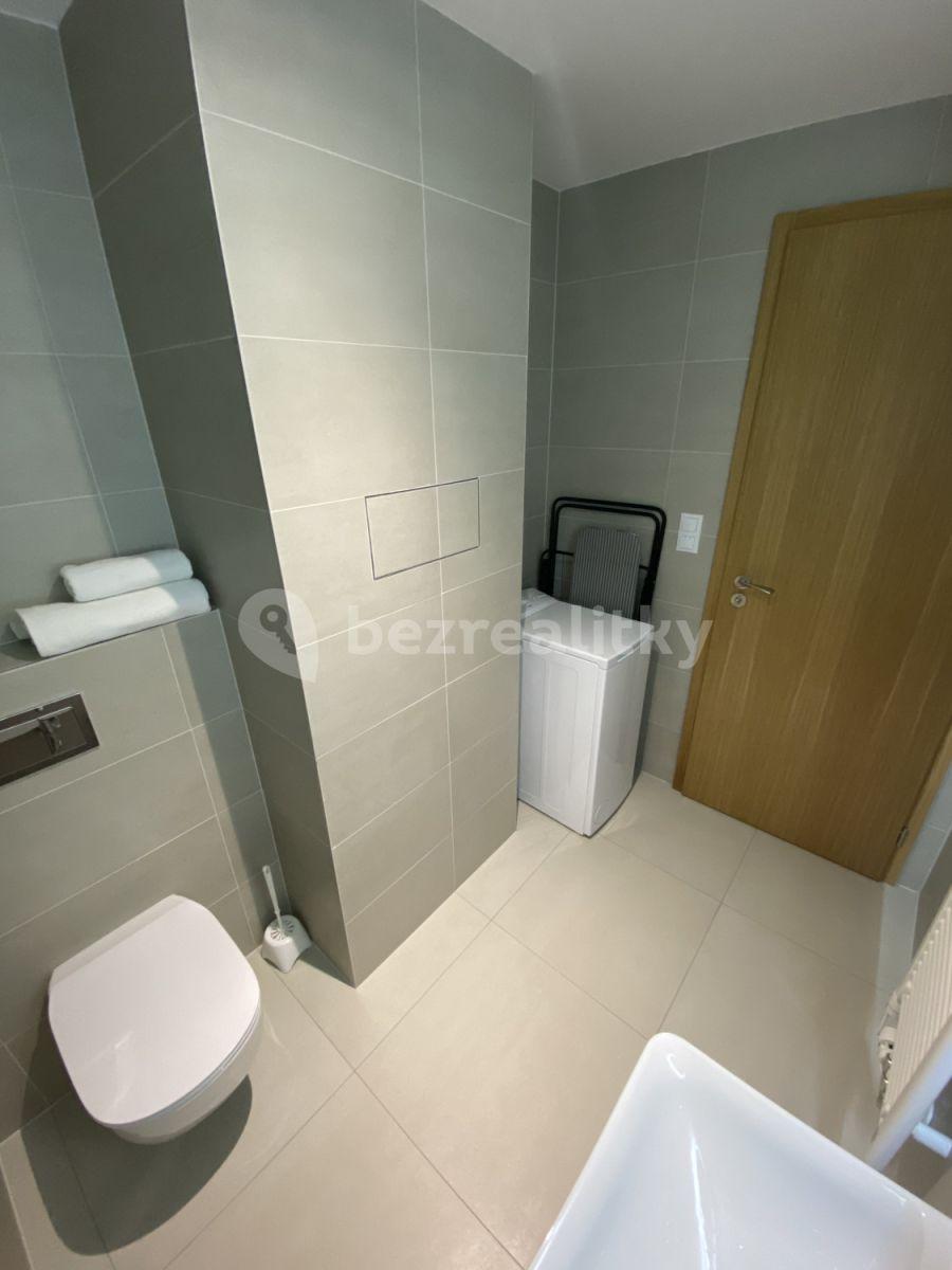 Studio flat to rent, 32 m², U Průhonu b, Prague, Prague