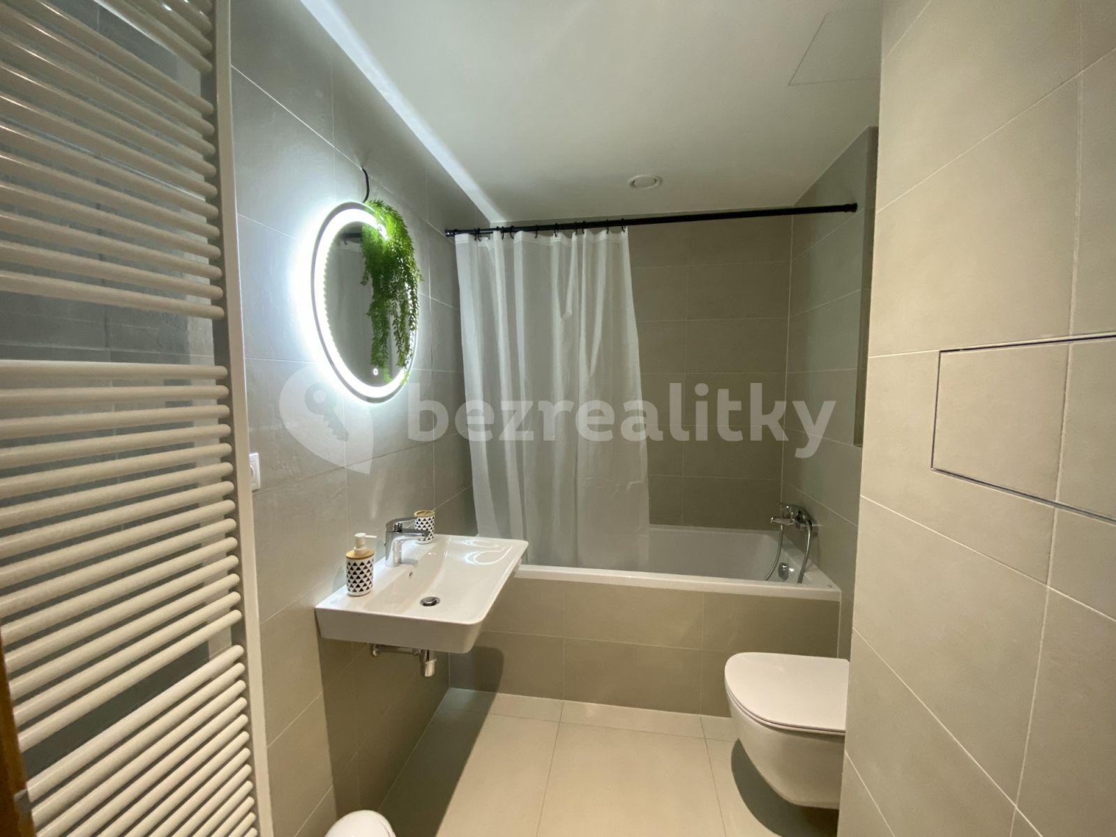 Studio flat to rent, 32 m², U Průhonu b, Prague, Prague