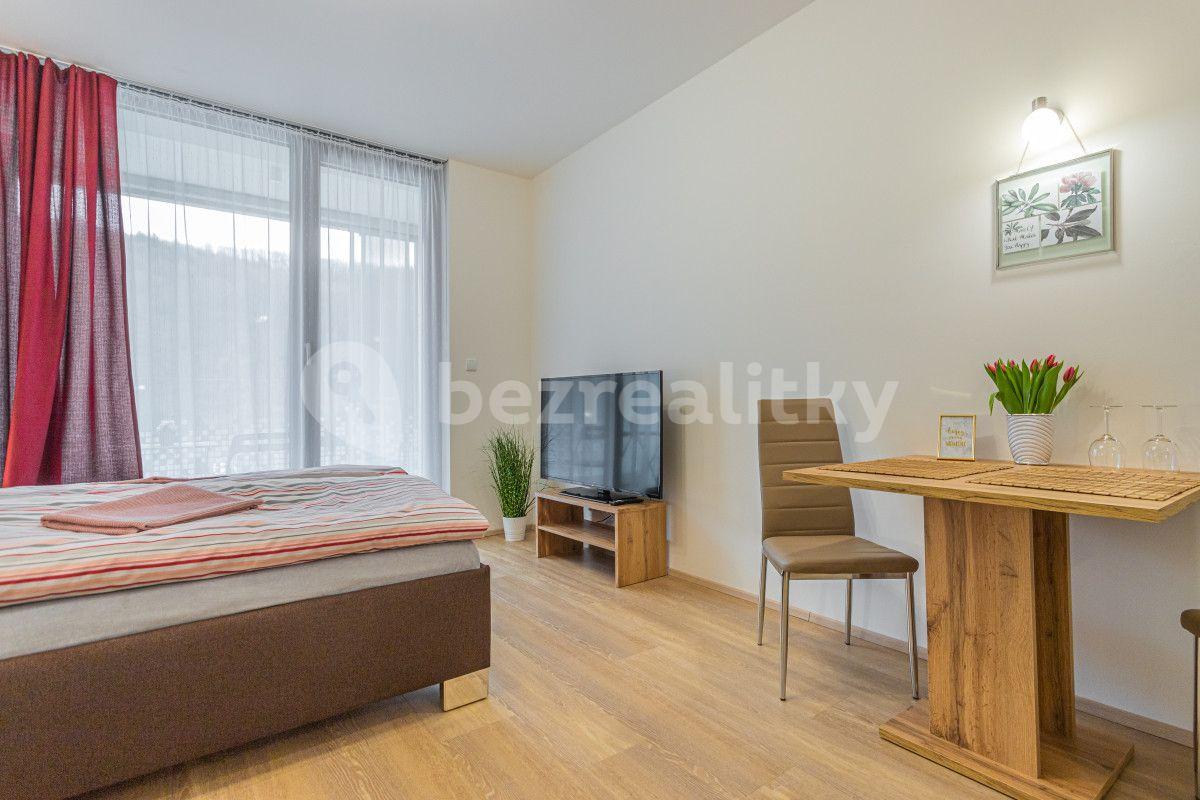 Studio flat to rent, 35 m², Hlaváčkova, Prague, Prague