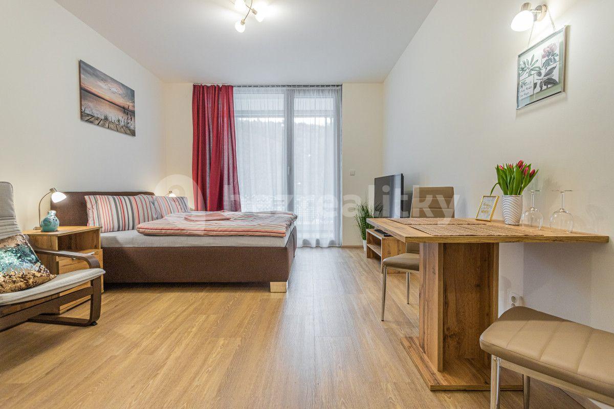 Studio flat to rent, 35 m², Hlaváčkova, Prague, Prague