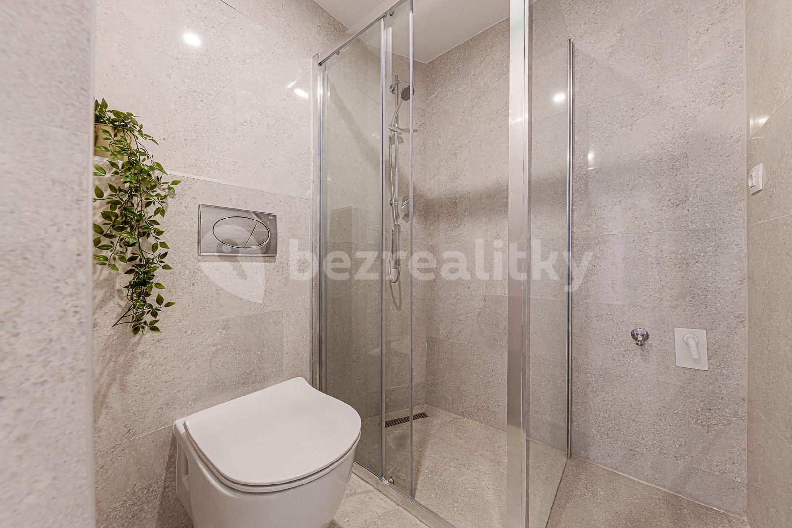 1 bedroom with open-plan kitchen flat to rent, 67 m², Kaizlovy sady, Prague, Prague