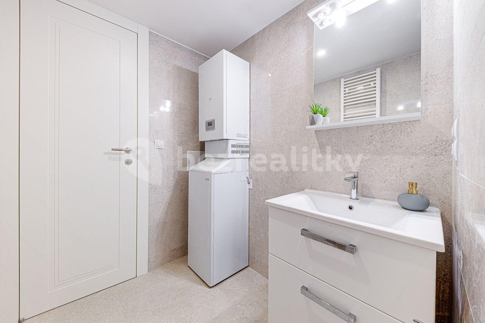 1 bedroom with open-plan kitchen flat to rent, 67 m², Kaizlovy sady, Prague, Prague