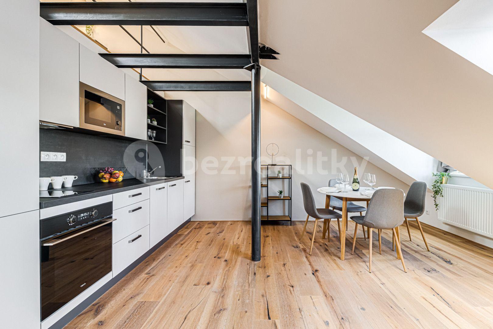 1 bedroom with open-plan kitchen flat to rent, 67 m², Kaizlovy sady, Prague, Prague