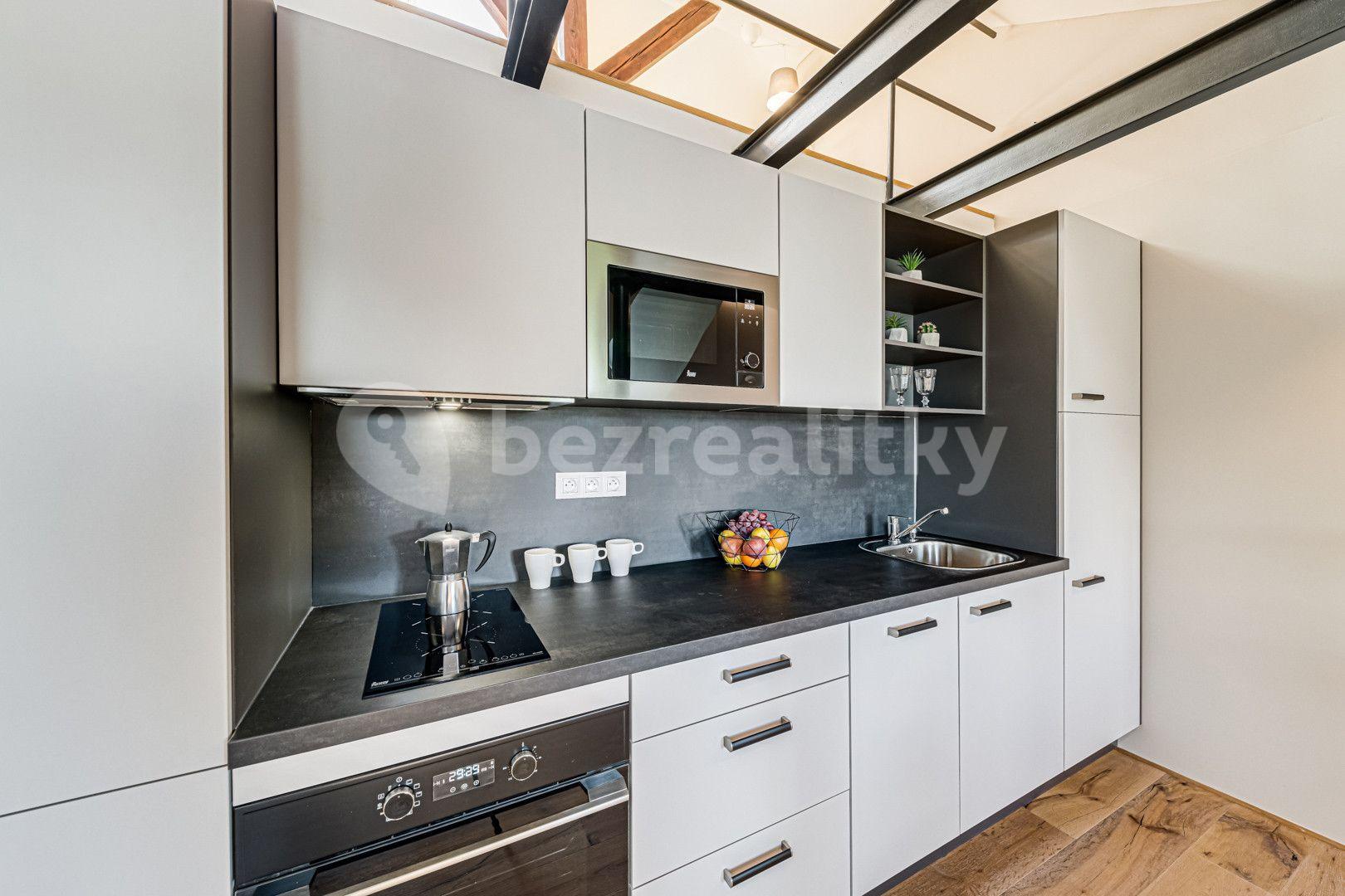 1 bedroom with open-plan kitchen flat to rent, 67 m², Kaizlovy sady, Prague, Prague