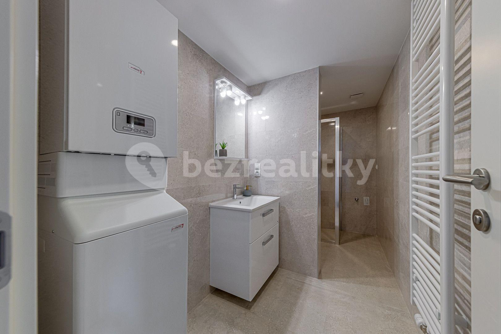 1 bedroom with open-plan kitchen flat to rent, 67 m², Kaizlovy sady, Prague, Prague