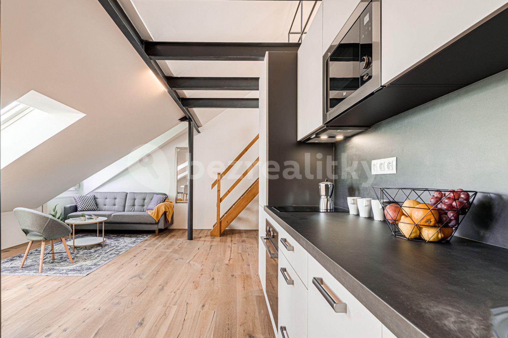 1 bedroom with open-plan kitchen flat to rent, 67 m², Kaizlovy sady, Prague, Prague