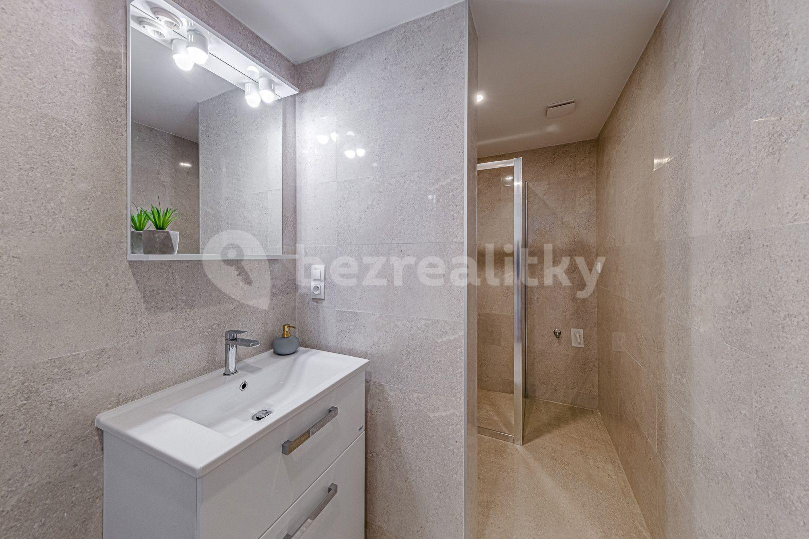 1 bedroom with open-plan kitchen flat to rent, 67 m², Kaizlovy sady, Prague, Prague