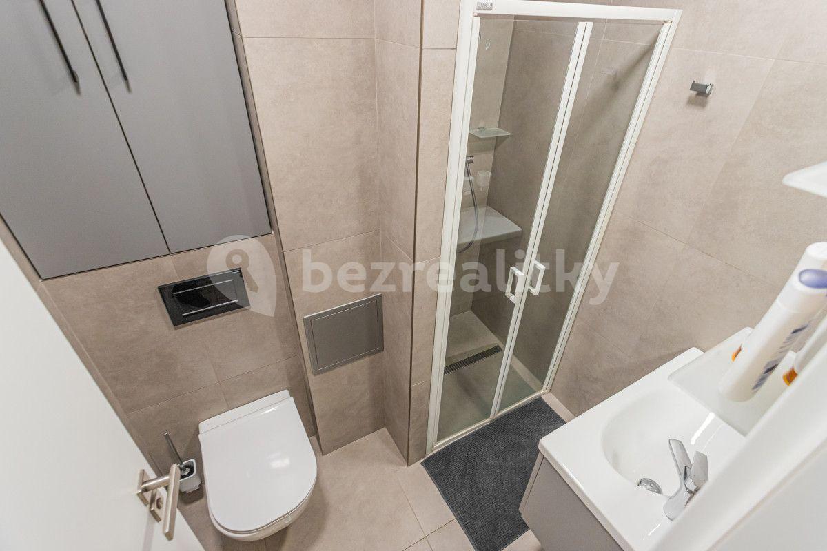 Studio flat to rent, 25 m², Stroupežnického, Prague, Prague