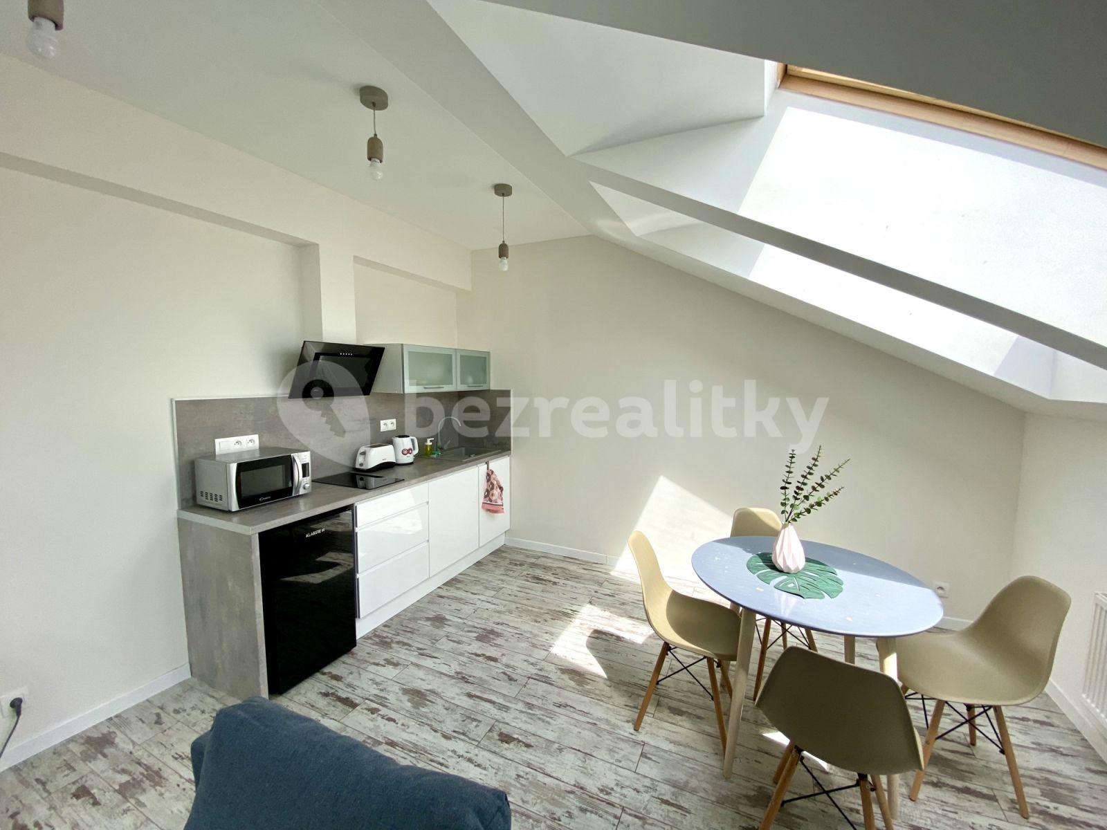 2 bedroom flat to rent, 56 m², Mečislavova, Prague, Prague