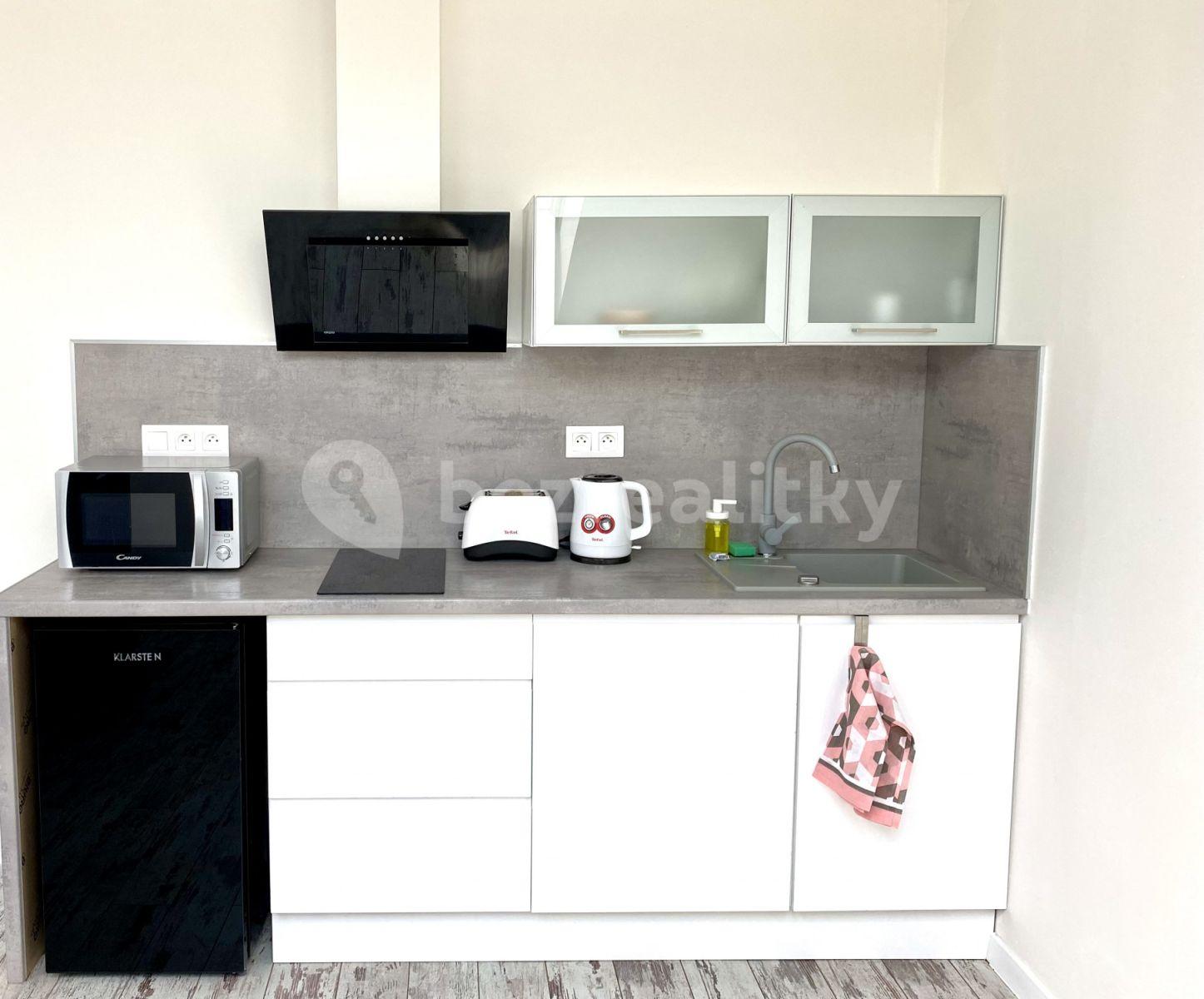 2 bedroom flat to rent, 56 m², Mečislavova, Prague, Prague