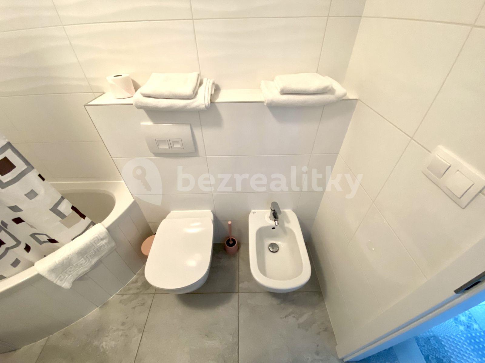 2 bedroom flat to rent, 56 m², Mečislavova, Prague, Prague