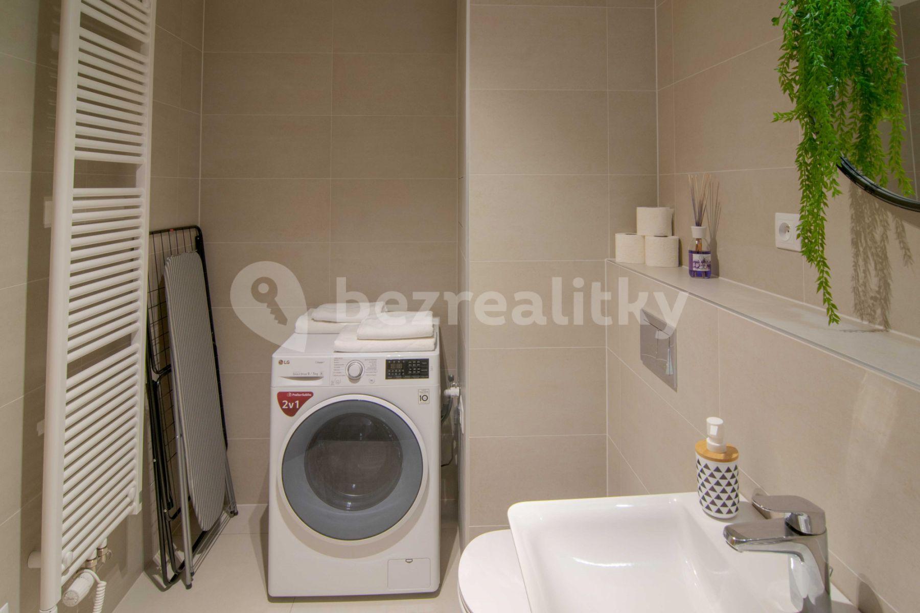 1 bedroom with open-plan kitchen flat to rent, 60 m², U Průhonu b, Prague, Prague