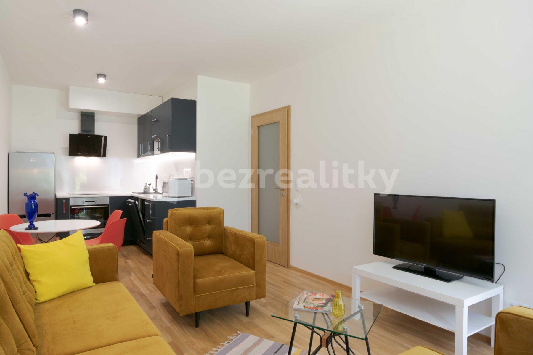 1 bedroom with open-plan kitchen flat to rent, 60 m², U Průhonu b, Prague, Prague