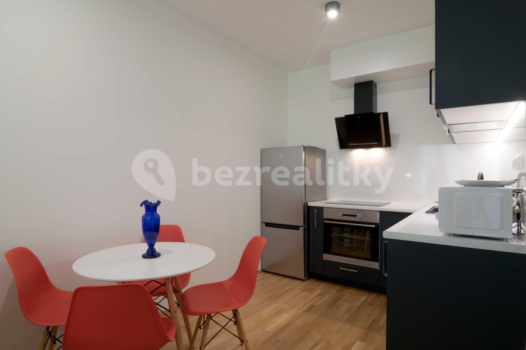 1 bedroom with open-plan kitchen flat to rent, 60 m², U Průhonu b, Prague, Prague