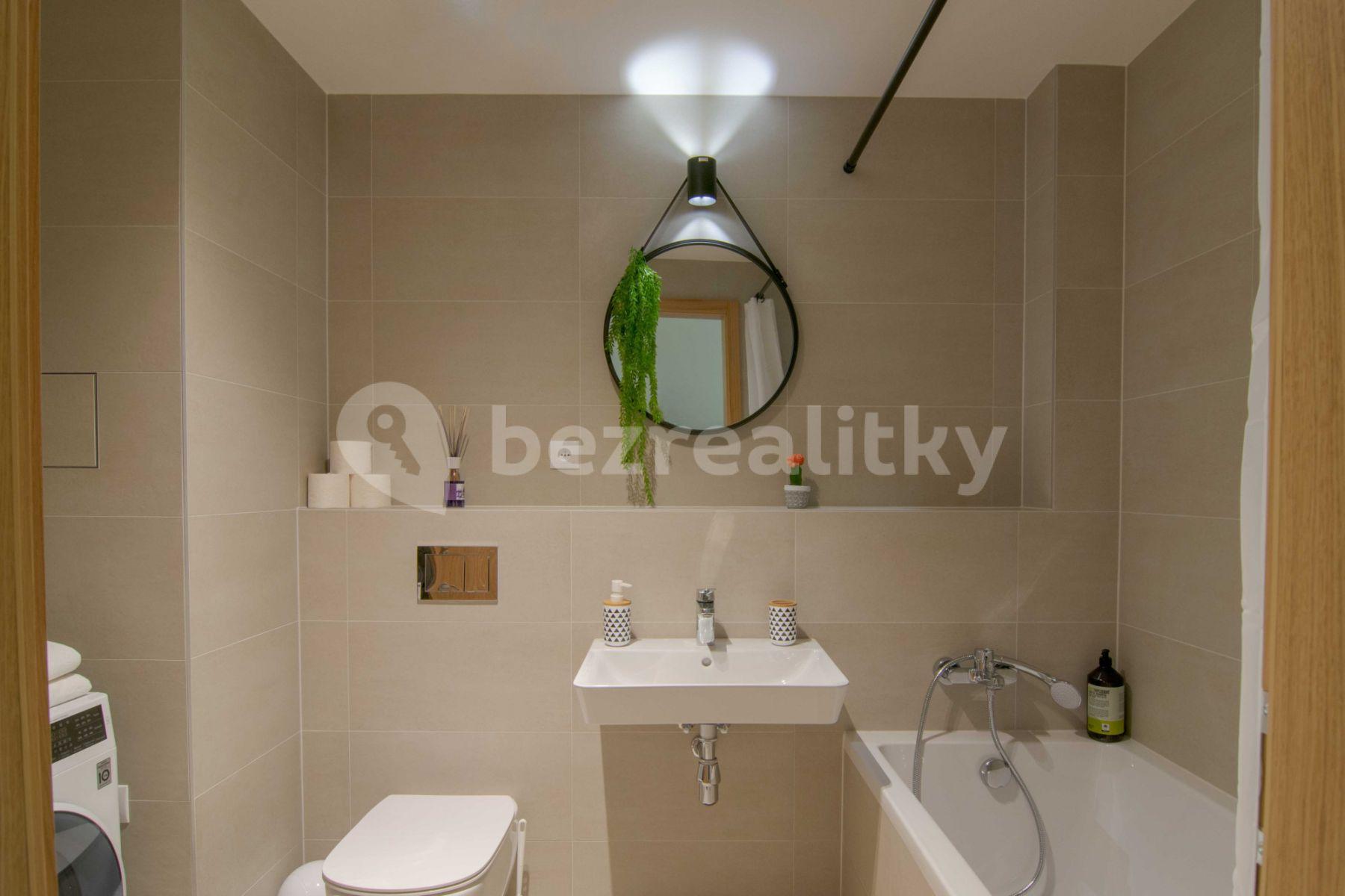 1 bedroom with open-plan kitchen flat to rent, 60 m², U Průhonu b, Prague, Prague