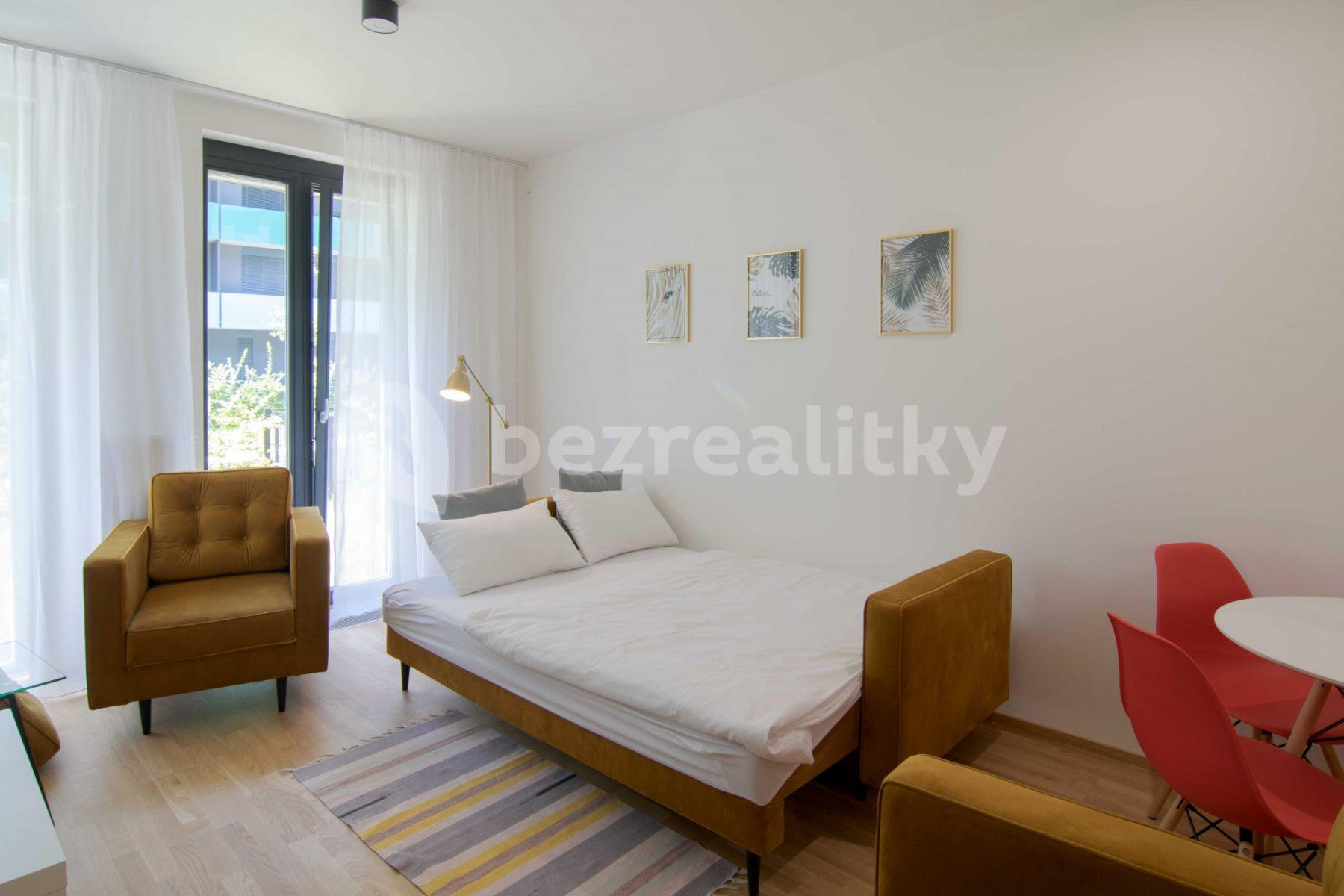 1 bedroom with open-plan kitchen flat to rent, 60 m², U Průhonu b, Prague, Prague