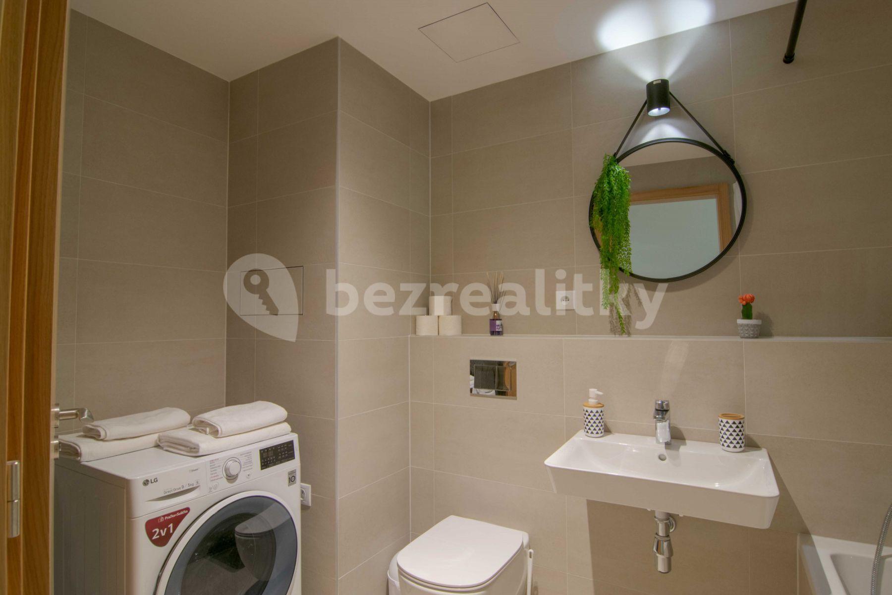 1 bedroom with open-plan kitchen flat to rent, 60 m², U Průhonu b, Prague, Prague