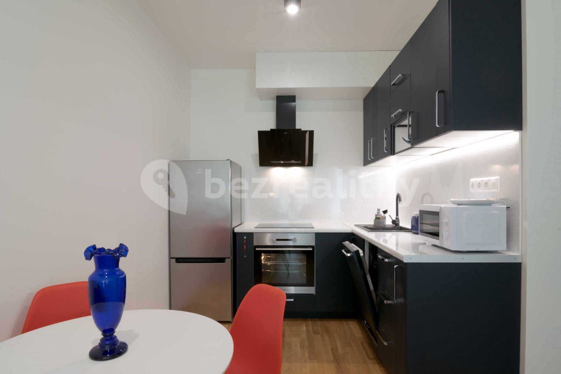 1 bedroom with open-plan kitchen flat to rent, 60 m², U Průhonu b, Prague, Prague