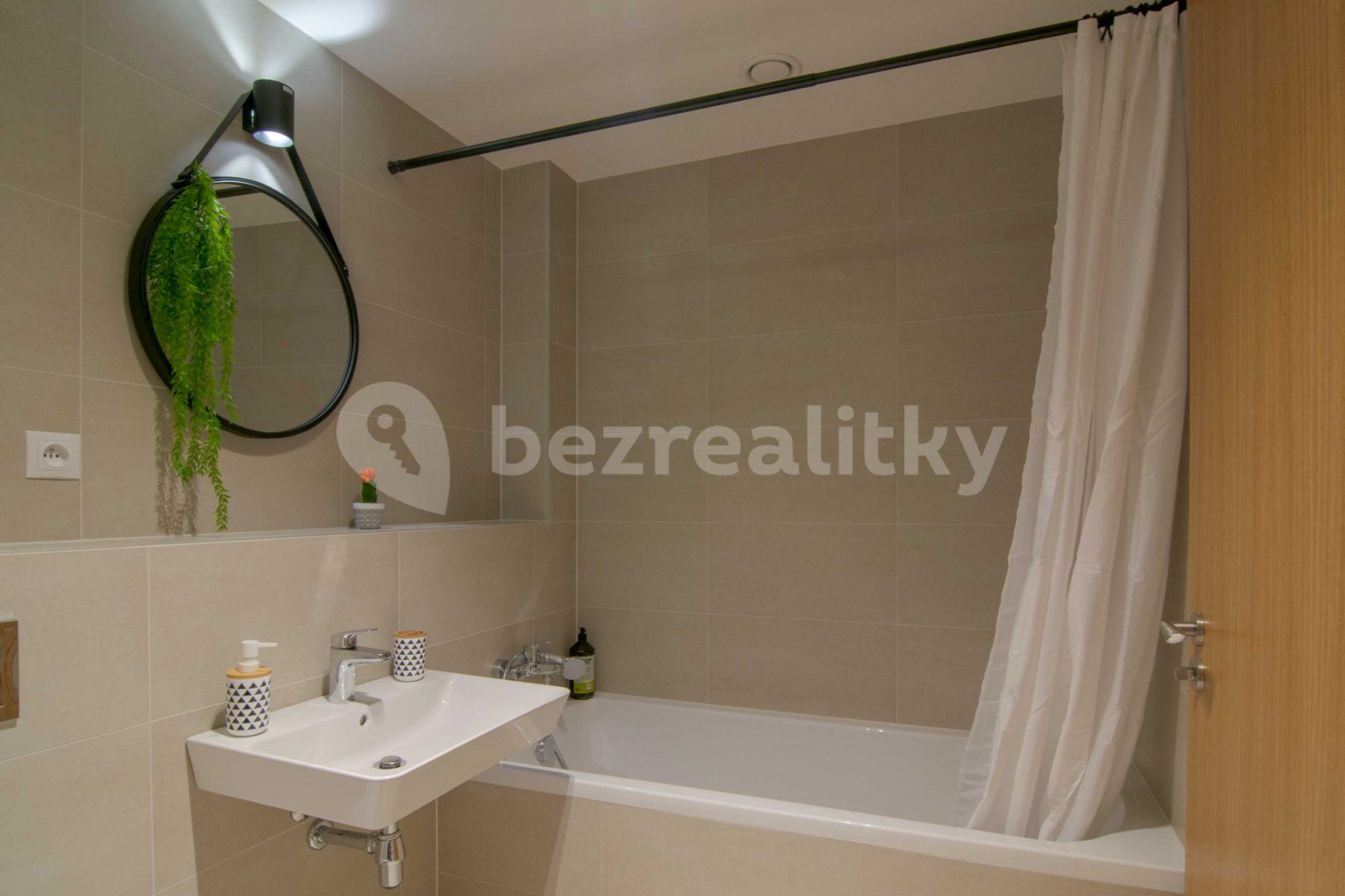 1 bedroom with open-plan kitchen flat to rent, 60 m², U Průhonu b, Prague, Prague