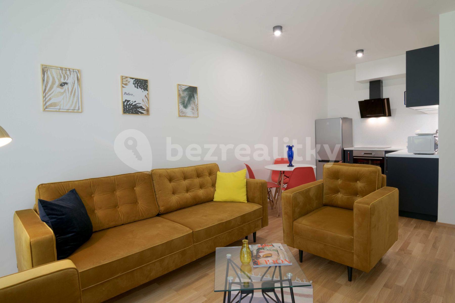 1 bedroom with open-plan kitchen flat to rent, 60 m², U Průhonu b, Prague, Prague