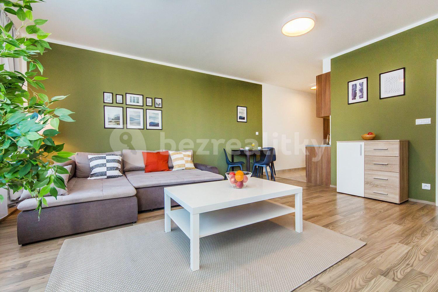 1 bedroom with open-plan kitchen flat to rent, 65 m², Švehlova, Prague, Prague