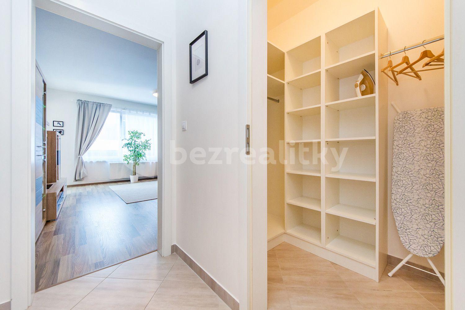 1 bedroom with open-plan kitchen flat to rent, 65 m², Švehlova, Prague, Prague