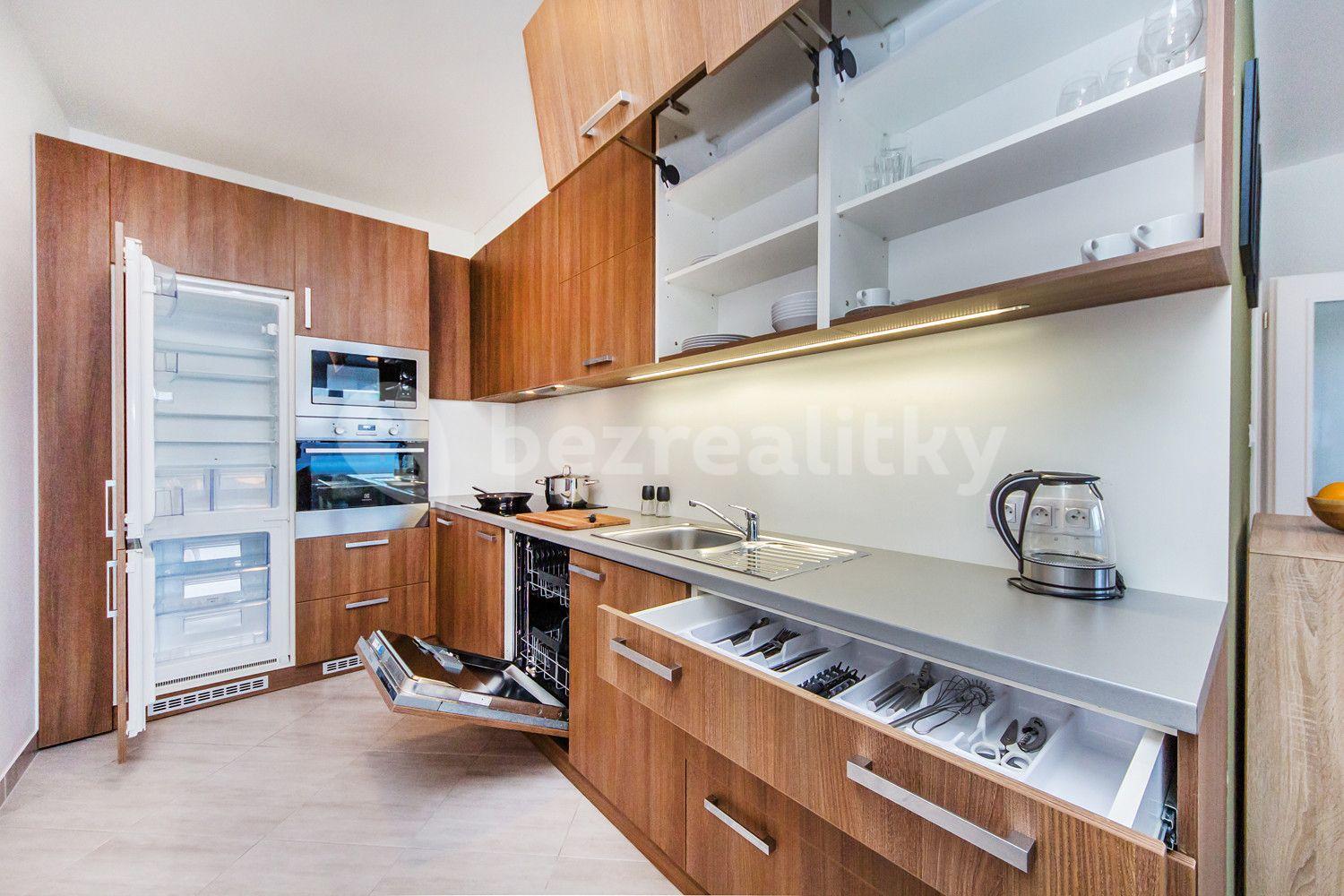 1 bedroom with open-plan kitchen flat to rent, 65 m², Švehlova, Prague, Prague