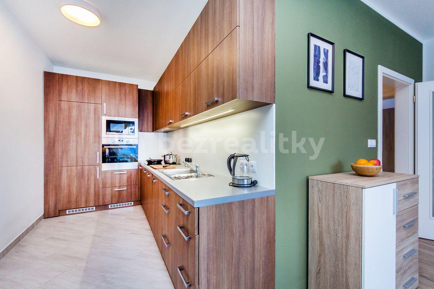 1 bedroom with open-plan kitchen flat to rent, 65 m², Švehlova, Prague, Prague