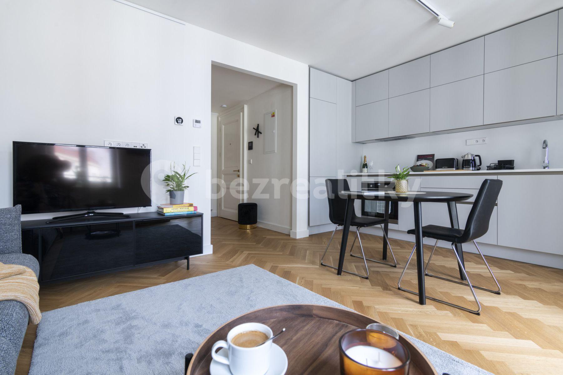 1 bedroom with open-plan kitchen flat to rent, 47 m², Bořivojova, Prague, Prague