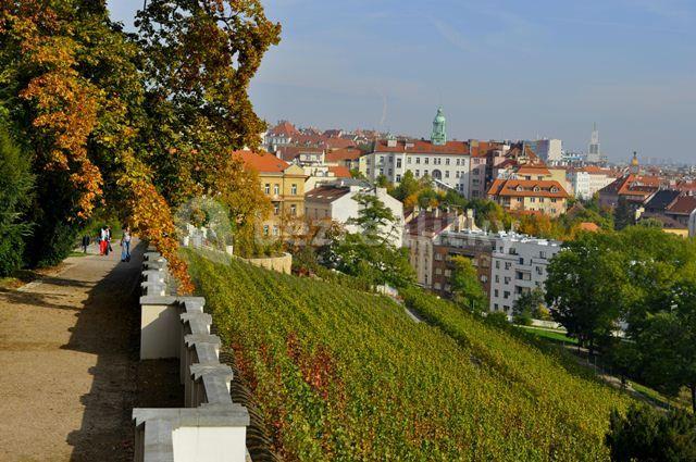 2 bedroom flat to rent, 60 m², Lublaňská, Prague, Prague