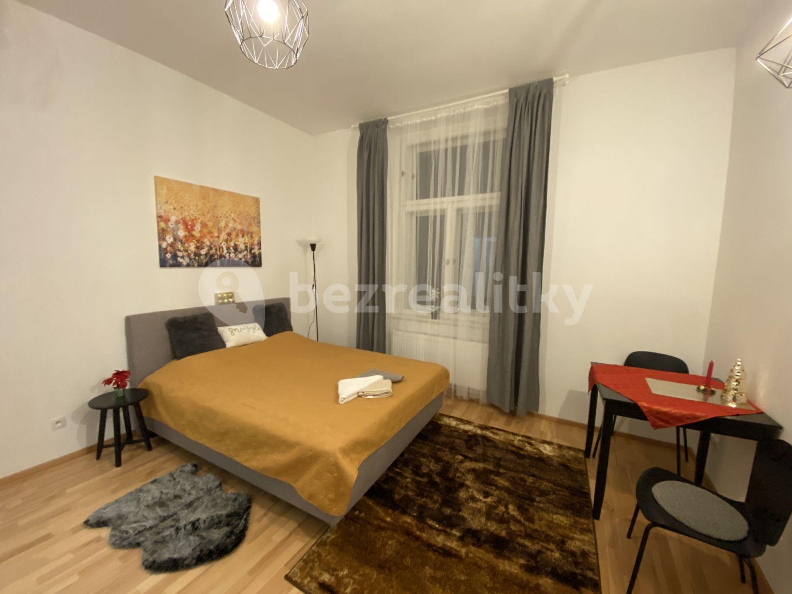 Studio flat to rent, 26 m², Tyršova, Prague, Prague